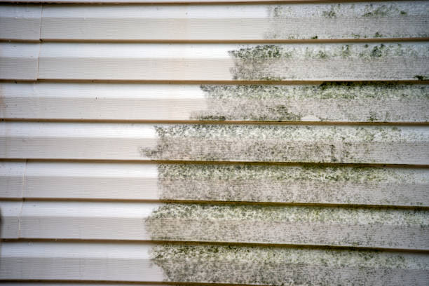 Best Demolition Debris Removal  in Cold Spring, NY